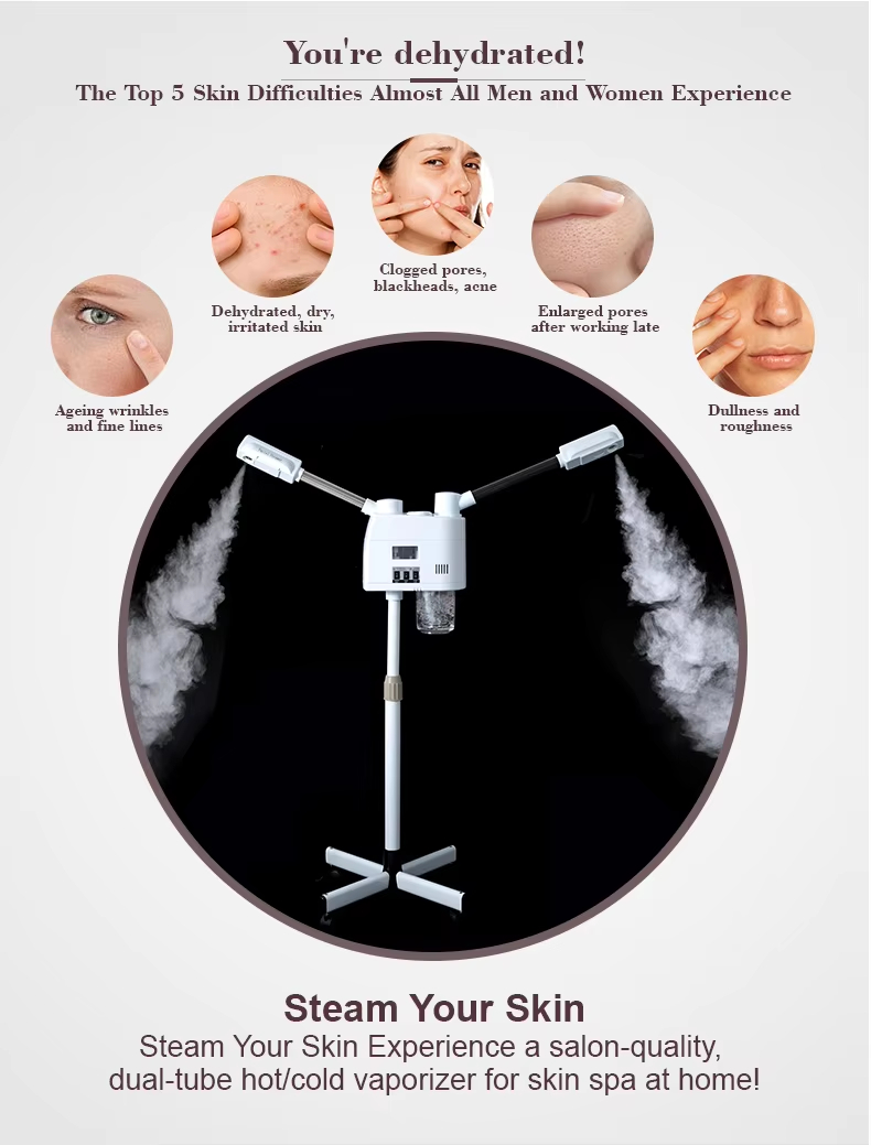 Cold and Hot Double Spray Face Steamer Refreshing Skin Care Deep Cleaning Face Steamer - Professional Professional Beauty Equipment equipment by SMIO