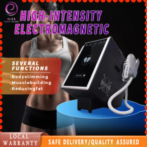 2手柄 台式EMS - SMIO #209 - Professional EMS Body Sculpting equipment by SMIO