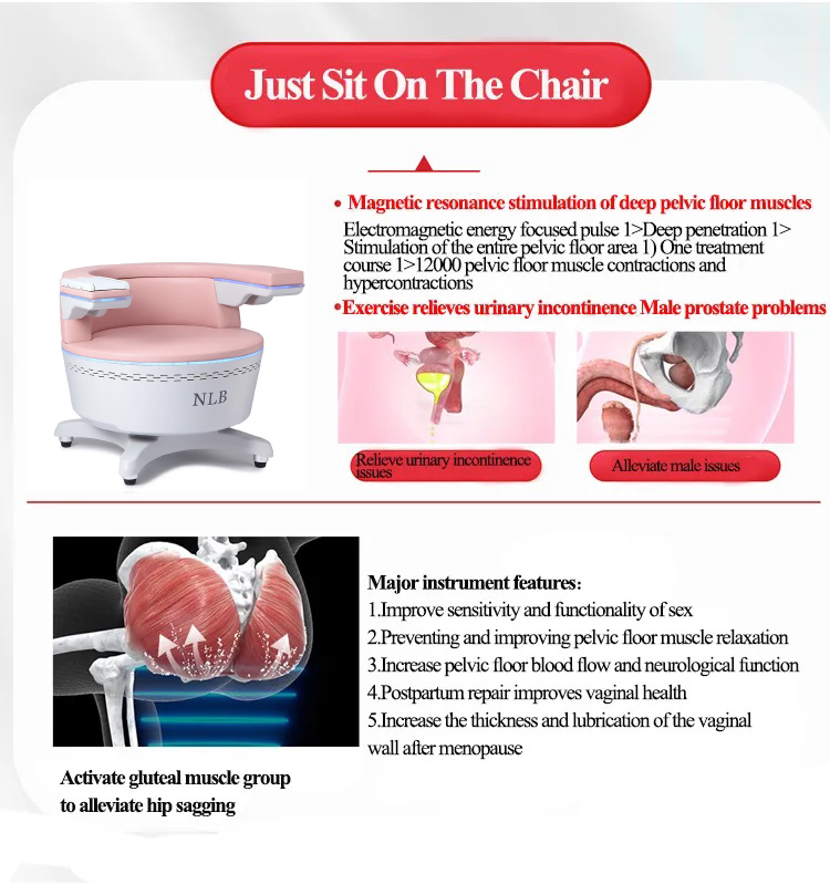 EMS 盆底肌座椅 - SMIO #315 - Professional EMS Body Sculpting equipment by SMIO